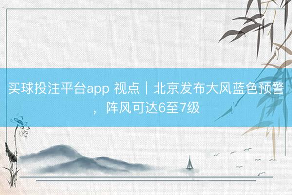 买球投注平台app 视点｜北京发布大风蓝色预警，阵风可达6至7级