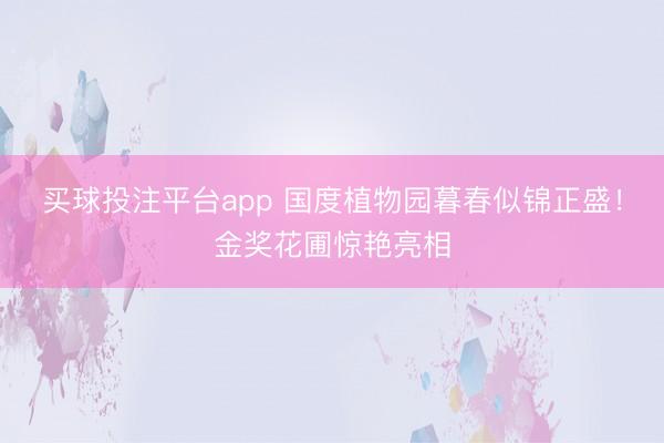 买球投注平台app 国度植物园暮春似锦正盛！金奖花圃惊艳亮相