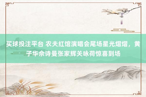 买球投注平台 农夫红馆演唱会尾场星光熠熠，黄子华佘诗曼张家辉关咏荷惊喜到场