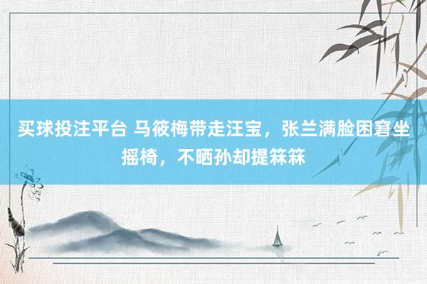买球投注平台 马筱梅带走汪宝，张兰满脸困窘坐摇椅，不晒孙却提箖箖