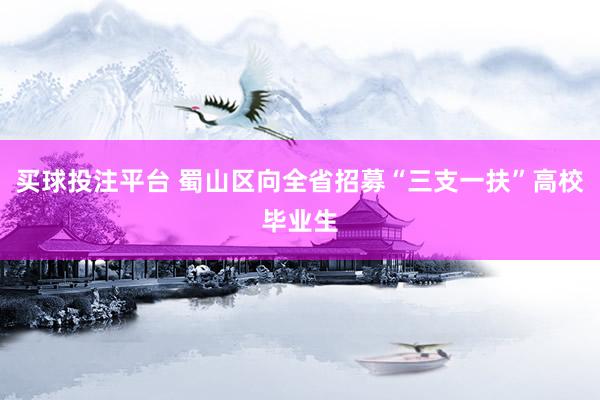 买球投注平台 蜀山区向全省招募“三支一扶”高校毕业生