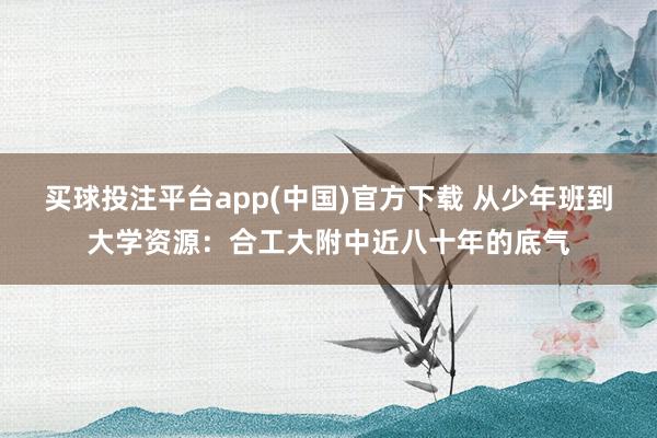 买球投注平台app(中国)官方下载 从少年班到大学资源:合工大附中近八十年的底气