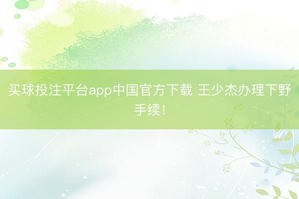 买球投注平台app中国官方下载 王少杰办理下野手续!