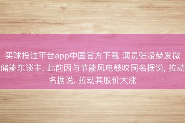 买球投注平台app中国官方下载 演员张凌赫发微博致意一线储能东谈主, 此前因与节能风电鼓吹同名据说, 拉动其股价大涨