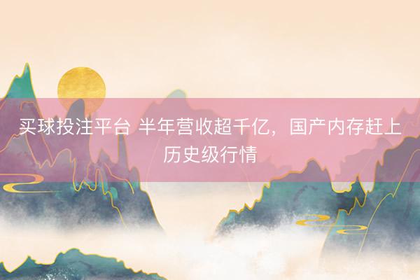 买球投注平台 半年营收超千亿，国产内存赶上历史级行情