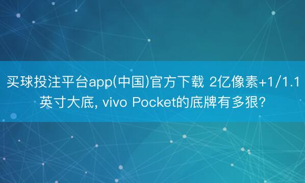 买球投注平台app(中国)官方下载 2亿像素+1/1.1英寸大底， vivo Pocket的底牌有多狠?