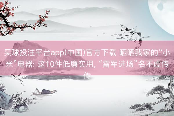 买球投注平台app(中国)官方下载 晒晒我家的“小米”电器: 这10件低廉实用， “雷军进场”名不虚传