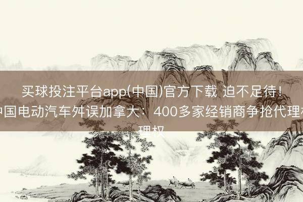 买球投注平台app(中国)官方下载 迫不足待！中国电动汽车舛误加拿大：400多家经销商争抢代理权