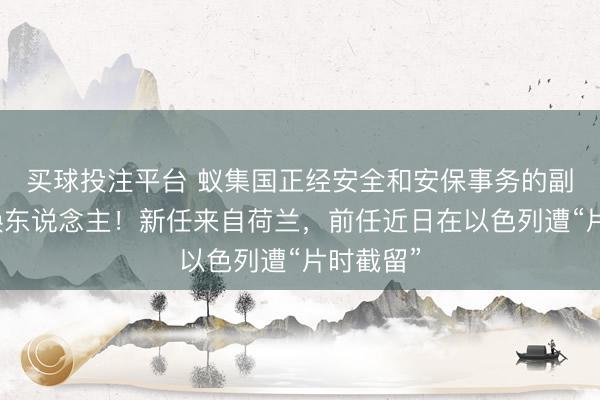 买球投注平台 蚁集国正经安全和安保事务的副文牍长换东说念主！新任来自荷兰，前任近日在以色列遭“片时截留”