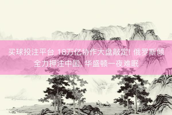买球投注平台 18万亿协作大盘敲定! 俄罗斯倾全力押注中国， 华盛顿一夜难眠