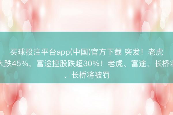 买球投注平台app(中国)官方下载 突发！老虎证券大跌45%，富途控股跌超30%！老虎、富途、长桥将被罚