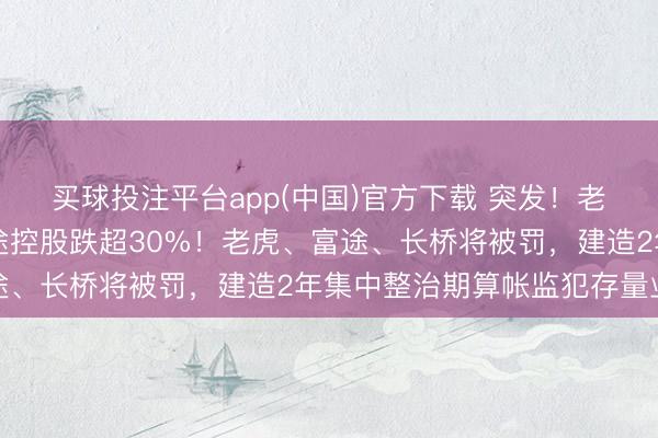买球投注平台app(中国)官方下载 突发！老虎证券大跌45%，富途控股跌超30%！老虎、富途、长桥将被罚，建造2年集中整治期算帐监犯存量业务