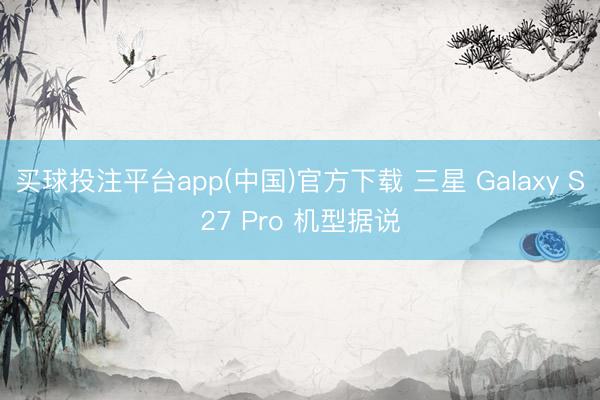 买球投注平台app(中国)官方下载 三星 Galaxy S27 Pro 机型据说