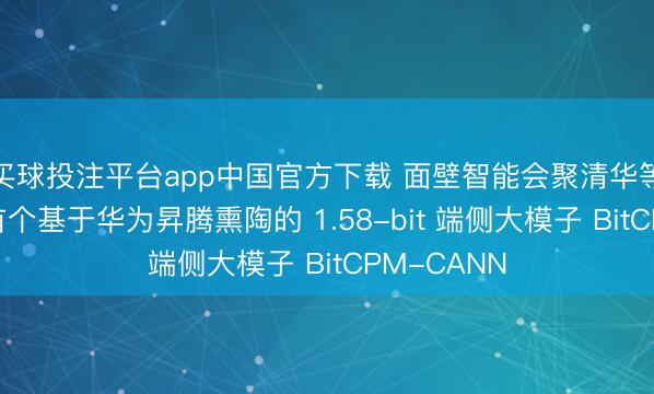 买球投注平台app中国官方下载 面壁智能会聚清华等开源中国首个基于华为昇腾熏陶的 1.58-bit 端侧大模子 BitCPM-CANN