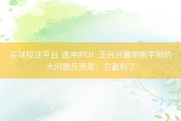 买球投注平台 速冲IPO！王兴兴最明晰宇树的大问题反而是：它盈利了