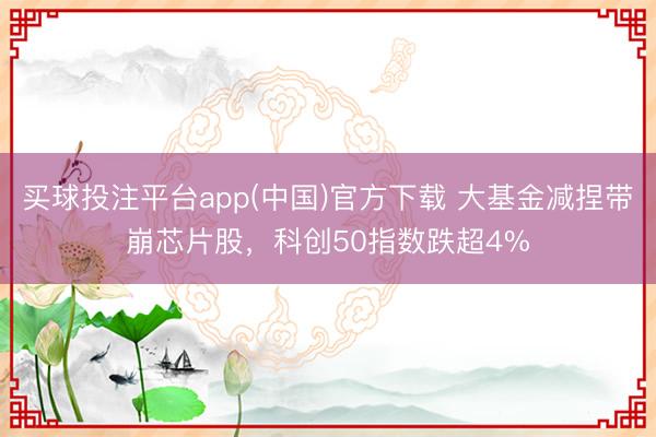 买球投注平台app(中国)官方下载 大基金减捏带崩芯片股，科创50指数跌超4%
