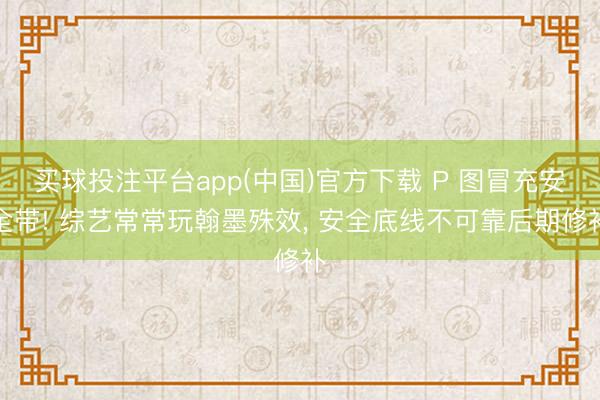 买球投注平台app(中国)官方下载 P 图冒充安全带! 综艺常常玩翰墨殊效， 安全底线不可靠后期修补