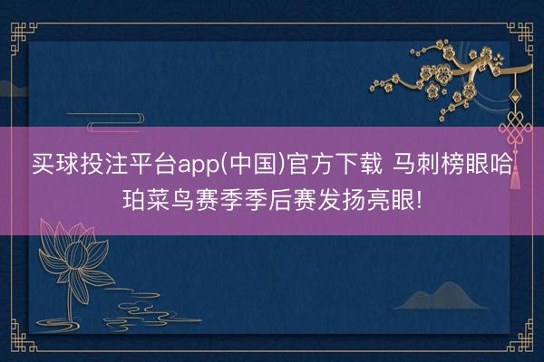 买球投注平台app(中国)官方下载 马刺榜眼哈珀菜鸟赛季季后赛发扬亮眼!