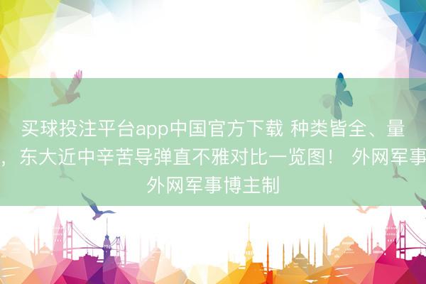 买球投注平台app中国官方下载 种类皆全、量大管饱，东大近中辛苦导弹直不雅对比一览图！ 外网军事博主制