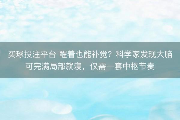 买球投注平台 醒着也能补觉？科学家发现大脑可完满局部就寝，仅需一套中枢节奏
