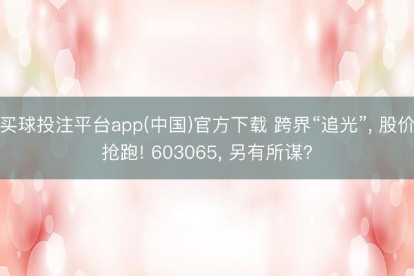 买球投注平台app(中国)官方下载 跨界“追光”， 股价抢跑! 603065， 另有所谋?