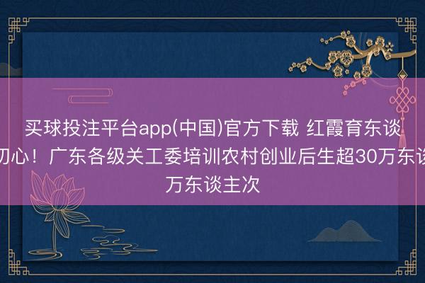 买球投注平台app(中国)官方下载 红霞育东谈主践初心！广东各级关工委培训农村创业后生超30万东谈主次